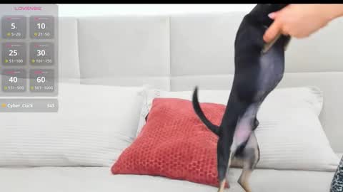 Eva online show from 18, 4, 2026