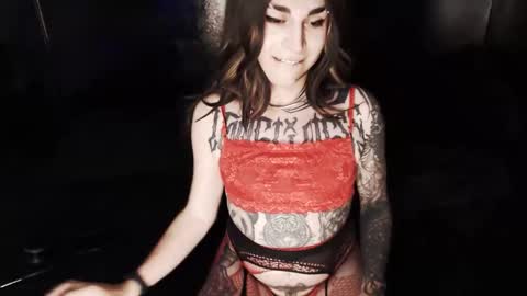 Nikki online show from 26, 2, 2026