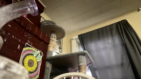 dabqueen_1994 online show from 9, 4, 2026