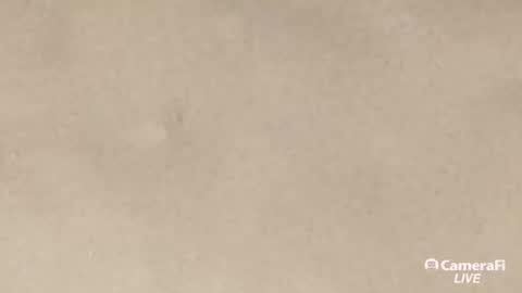 Snapshot of daddybigwhitecock chatting on 20, 9, 2025 Tommy online show from 20, 9, 2025