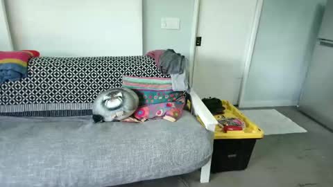 bas online show from 27, 10, 2025