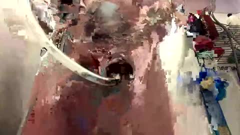 Daddy online show from 5, 1, 2025