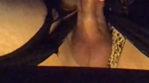 daddypervbuttprincess online show from 13, 9, 2025