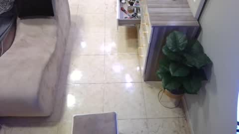 Deffa online show from 16, 2, 2025