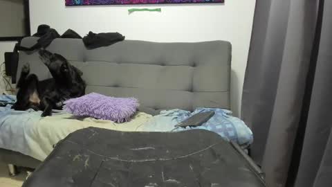 Snapshot of dahianna_27 chatting on 17, 1, 2025 dahianna_27 online show from 17, 1, 2025