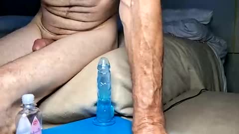 daileyrobert15 online show from 11, 4, 2026