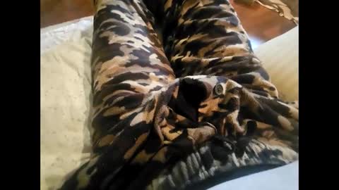 DailyJerker84 online show from 23, 11, 2025