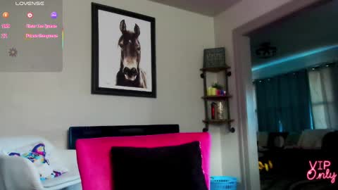 Daisy online show from 29, 3, 2026