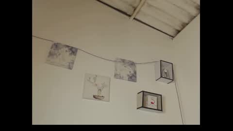 Daisy online show from 10, 2, 2025