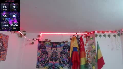 Dakko online show from 16, 2, 2026