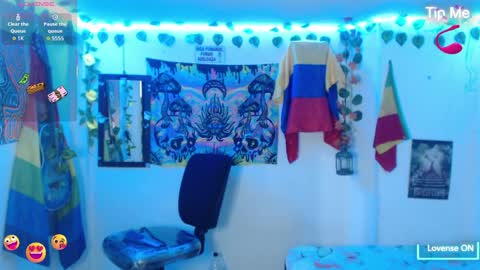 Dakko online show from 6, 4, 2026