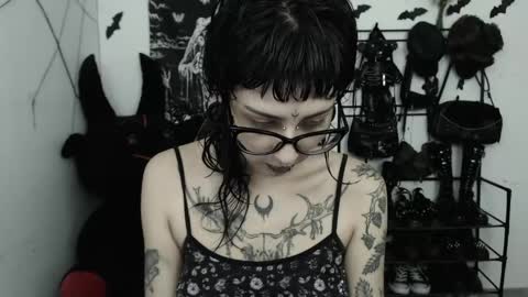 dakota online show from 16, 4, 2026