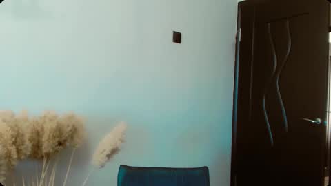 Snapshot of dalidayes chatting on 13, 2, 2026 Dali online show from 13, 2, 2026