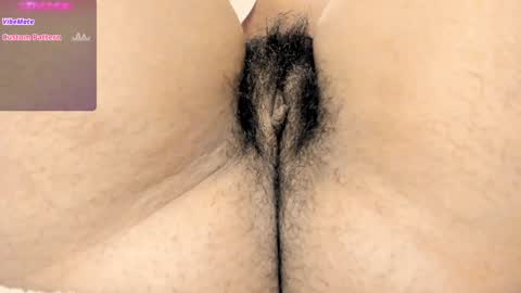 dalila online show from 26, 1, 2025