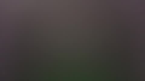 Snapshot of dallasjmg chatting on 25, 2, 2026 dallasjmg online show from 25, 2, 2026