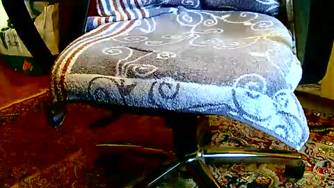 Snapshot of dammerl6 chatting on 23, 1, 2025 Dammerl online show from 23, 1, 2025