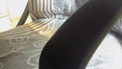 Snapshot of dammerl6 chatting on 28, 1, 2025 Dammerl online show from 28, 1, 2025