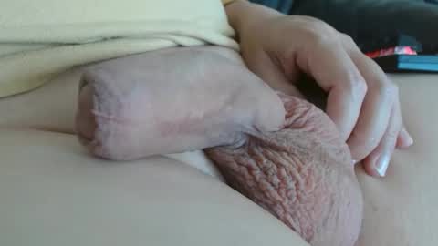 Damocles online show from 22, 10, 2025