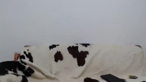 dan_jonson15 online show from 26, 11, 2025