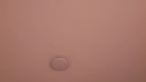 Dana online show from 16, 3, 2026