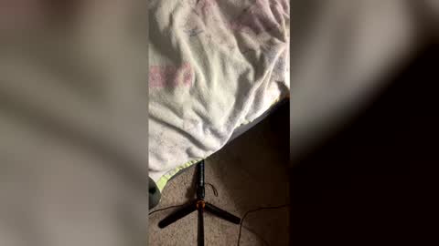 danger_yummy online show from 21, 4, 2026