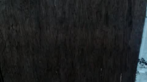 Nica online show from 2, 10, 2025