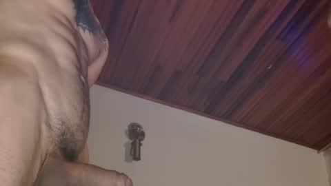 Dani online show from 11, 12, 2024