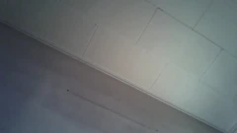 danicrss8 online show from 4, 4, 2026