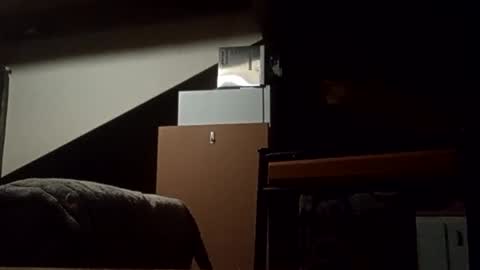 danieldayz online show from 4, 11, 2025