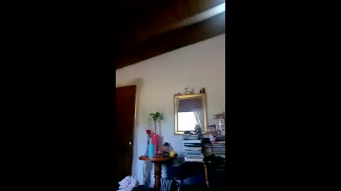 danielledelrey online show from 3, 2, 2026