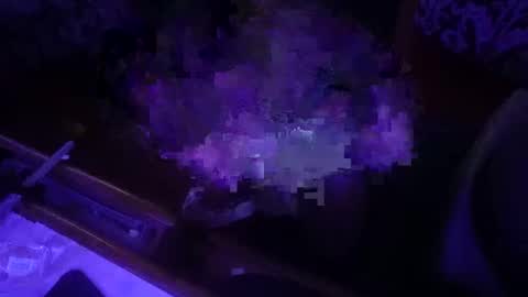 dankfuckcouple online show from 28, 9, 2025