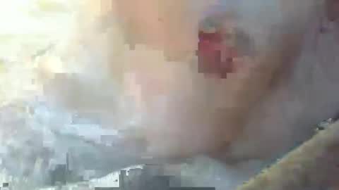 Snapshot of dankz4two0 chatting on 11, 1, 2025 dankz4two0 online show from 11, 1, 2025