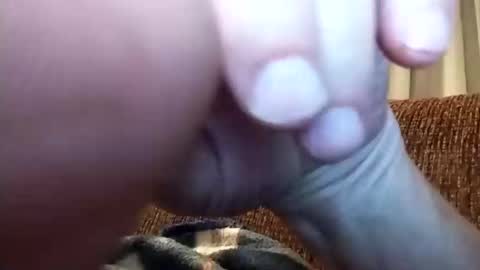 dannowisc online show from 6, 4, 2026