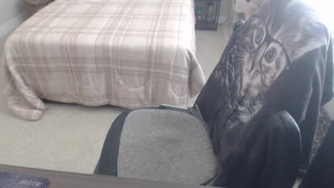 Snapshot of dannybear chatting on 9, 3, 2025 Danny bear online show from 9, 3, 2025