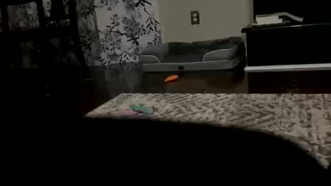 dannyboy621 online show from 20, 10, 2025