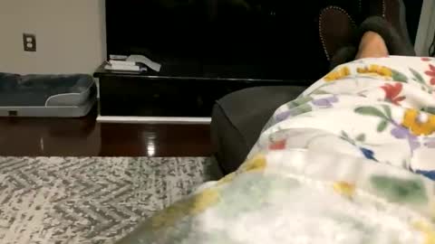 dannyboy621 online show from 30, 10, 2025