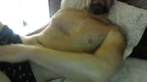 danroof2023 online show from 30, 1, 2025