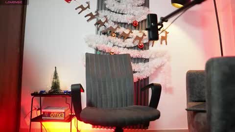 SEBAS online show from 17, 12, 2025