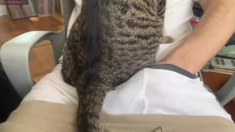 Dante online show from 24, 1, 2025