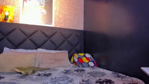 Dany online show from 6, 11, 2025