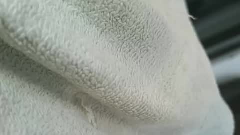 dapppper online show from 4, 3, 2026