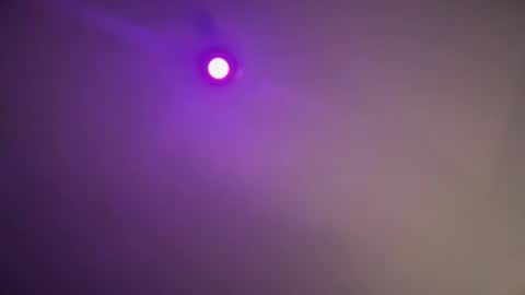 daquim online show from 12, 11, 2025