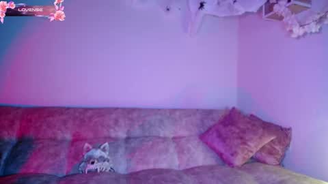 Dark online show from 30, 10, 2025