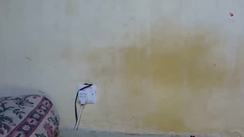 dark_princess1 online show from 8, 10, 2025