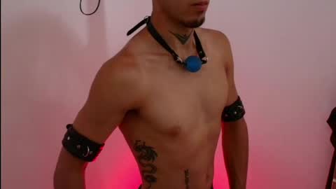 rosse online show from 26, 4, 2026