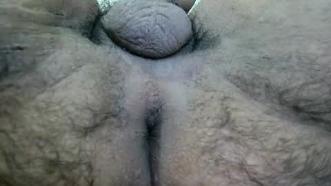 Ran online show from 21, 4, 2026