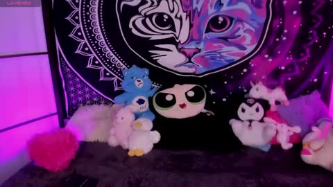 daryimiau online show from 9, 7, 2026