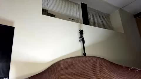 dave875126 online show from 21, 4, 2026