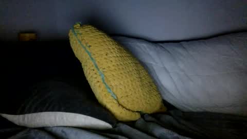 daveb709709709 online show from 12, 1, 2026