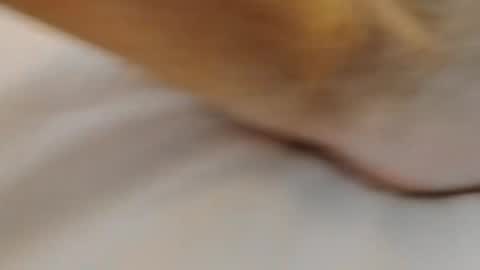 Snapshot of david1982yesyes chatting on 2, 3, 2026 david1982yesyes online show from 2, 3, 2026